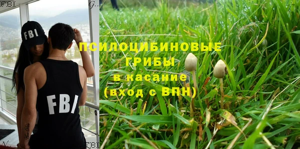 прущая мука Абаза