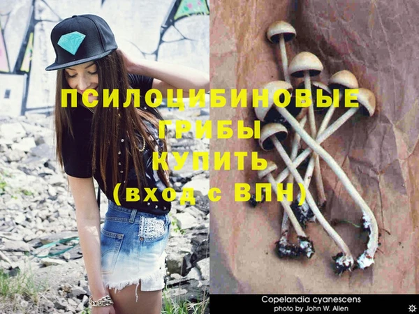прущая мука Абаза