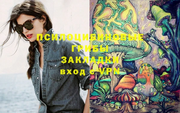 ГАЛЛЮЦИНОГЕННЫЕ ГРИБЫ Алзамай