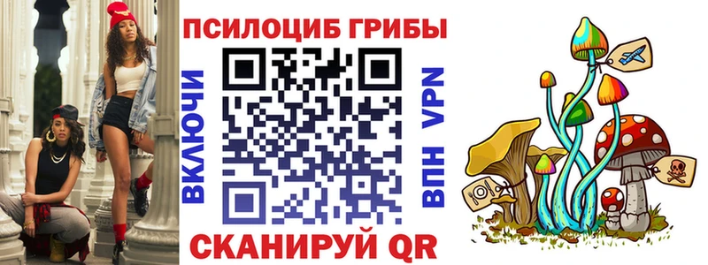 как найти закладки  Нерехта  Галлюциногенные грибы GOLDEN TEACHER 